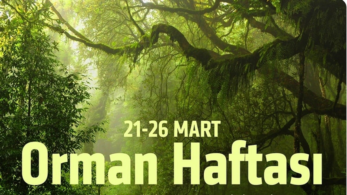 ORMAN HAFTASI PANO ÇALIŞMASI
